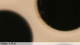 Center image, f/5.6