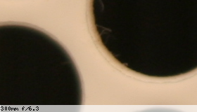 Center image, f/6.3
