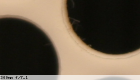Center image, f/7.1