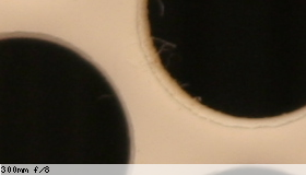 Center image, f/8
